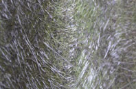 Addlethorpe fibreglass roof work